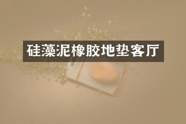 硅藻泥橡胶地垫客厅