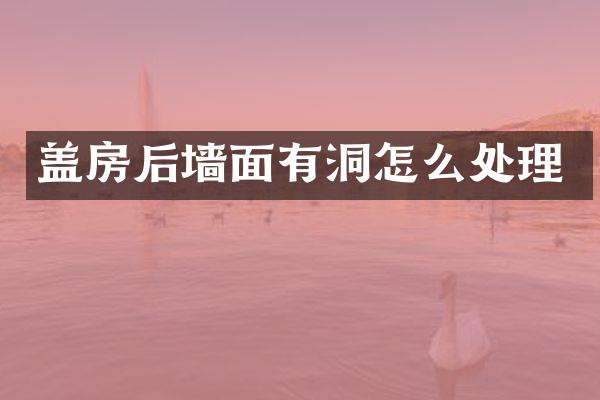盖房后墙面有洞怎么处理