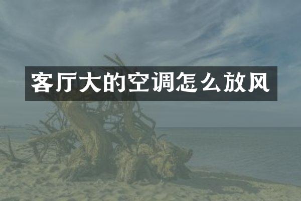 客厅大的空调怎么放风
