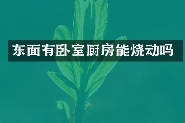 东面有卧室厨房能烧动吗