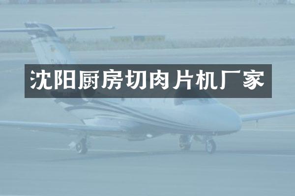 沈阳厨房切肉片机厂家