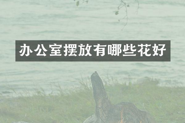 办公室摆放有哪些花好