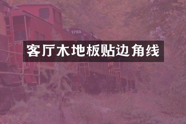 客厅木地板贴边角线