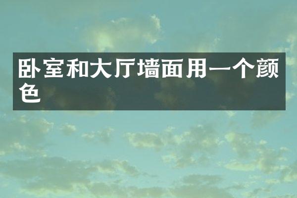 卧室和大厅墙面用一个颜色
