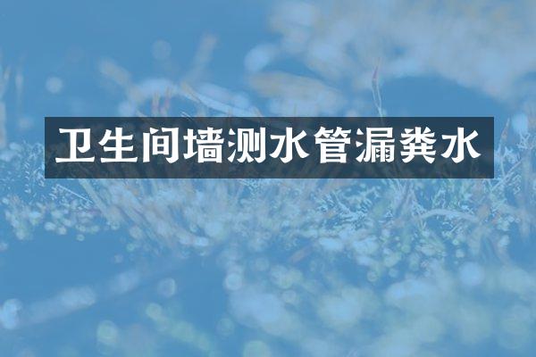 卫生间墙测水管漏粪水