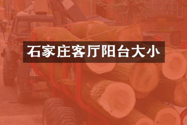石家庄客厅阳台大小