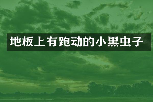 地板上有跑动的小黑虫子
