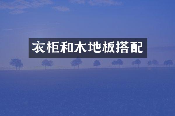 衣柜和木地板搭配