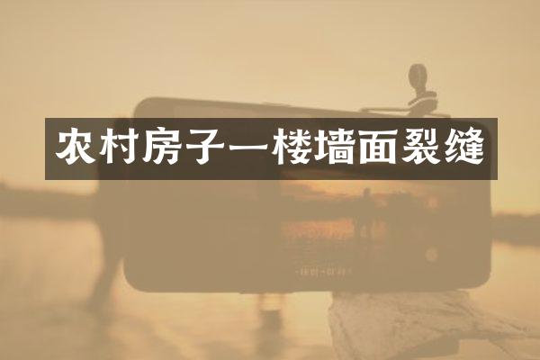 农村房子一楼墙面裂缝