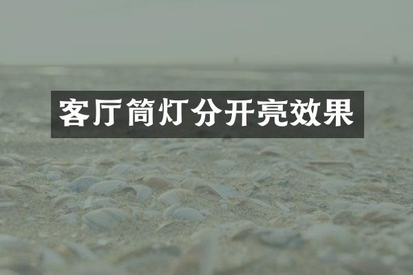 客厅筒灯分开亮效果