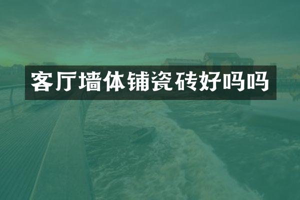 客厅墙体铺瓷砖好吗吗