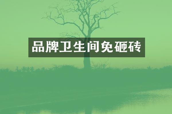 品牌卫生间免砸砖