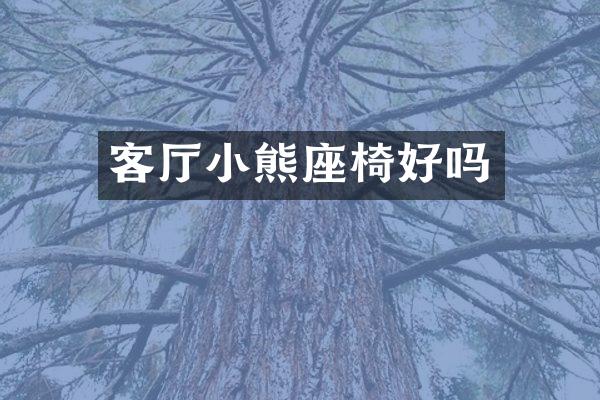客厅小熊座椅好吗