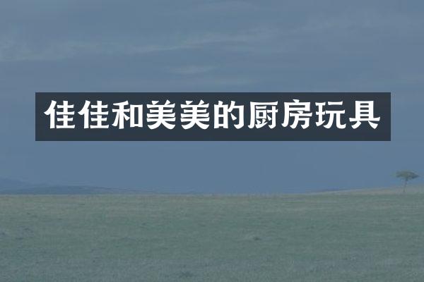 佳佳和美美的厨房玩具