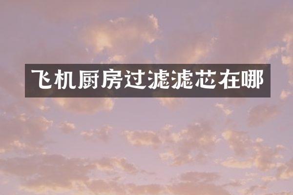 飞机厨房过滤滤芯在哪