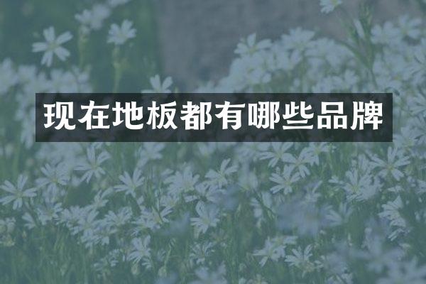 现在地板都有哪些品牌