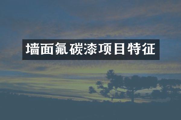 墙面氟碳漆项目特征