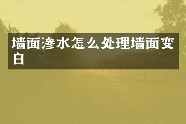墙面渗水怎么处理墙面变白