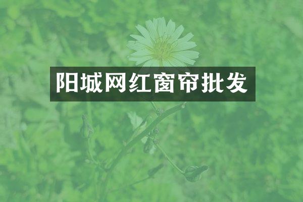 阳城网红窗帘批发