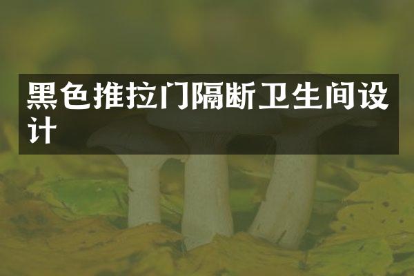 黑色推拉门隔断卫生间设计