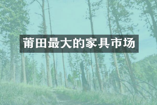 莆田最大的家具市场