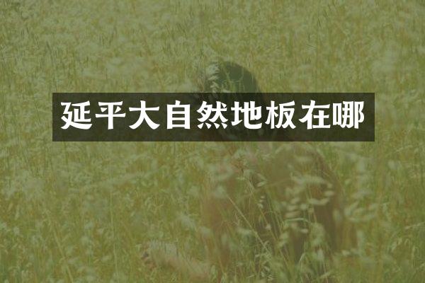 延平大自然地板在哪