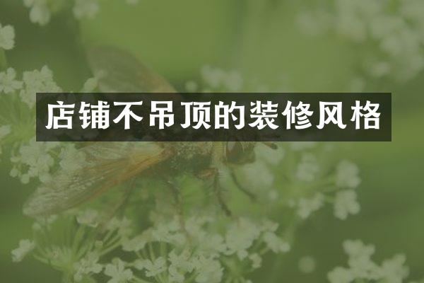 店铺不吊顶的装修风格