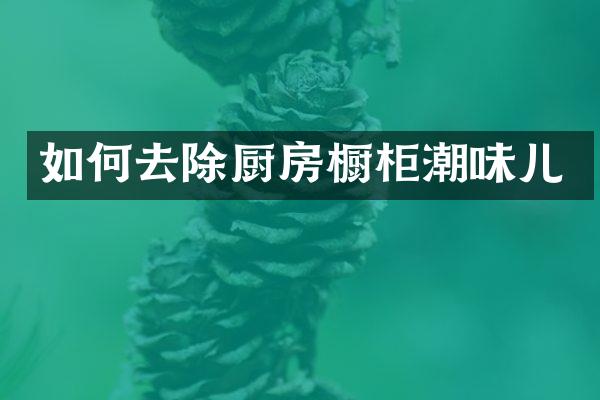 如何去除厨房橱柜潮味儿