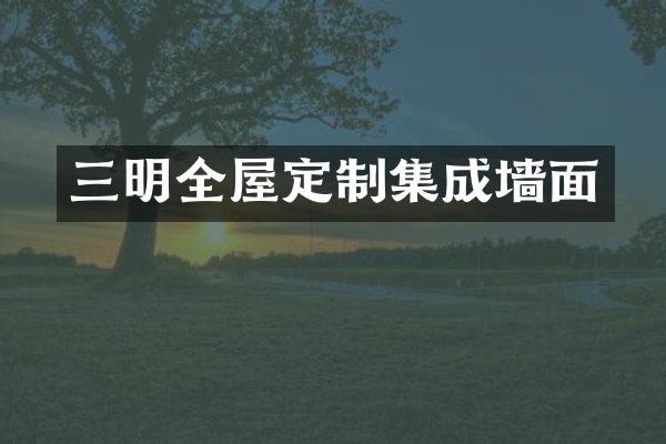 三明全屋定制集成墙面