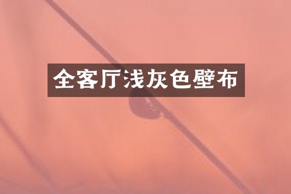全客厅浅灰色壁布