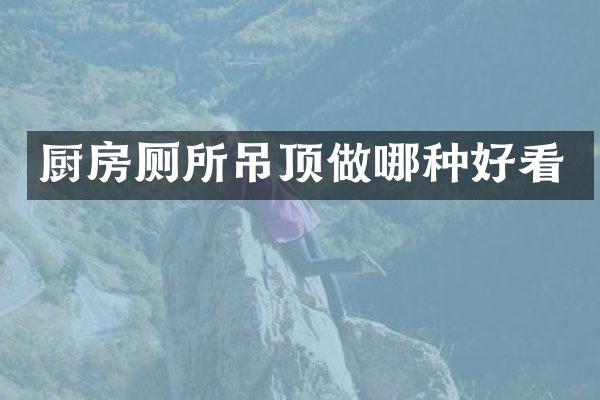 厨房厕所吊顶做哪种好看