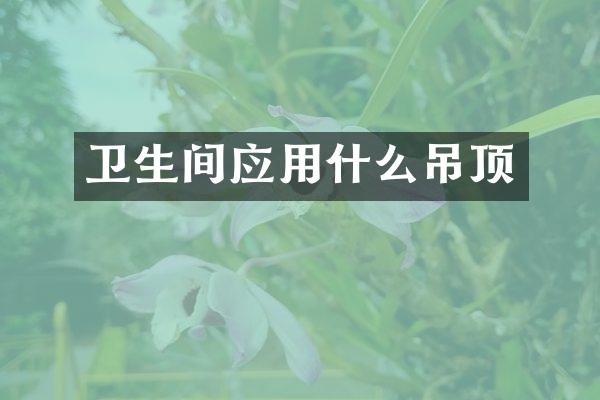 卫生间应用什么吊顶
