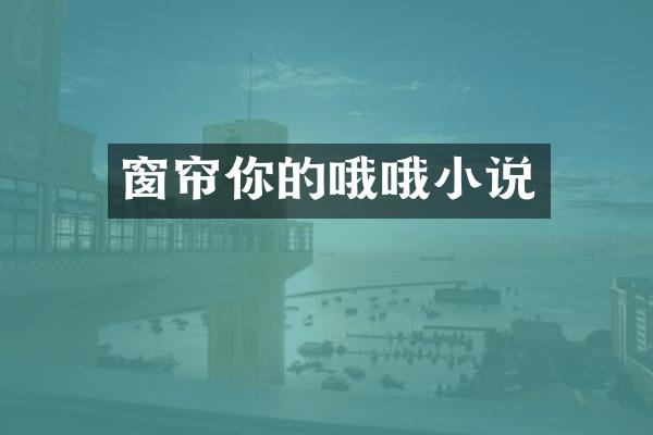 窗帘你的哦哦小说
