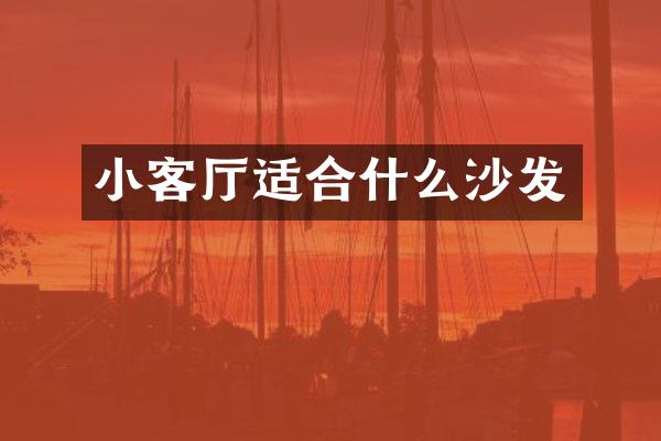 小客厅适合什么沙发