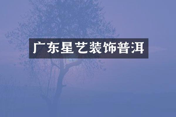广东星艺装饰普洱