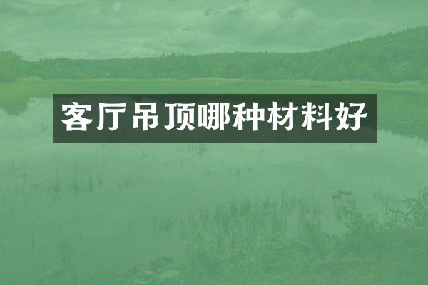 客厅吊顶哪种材料好