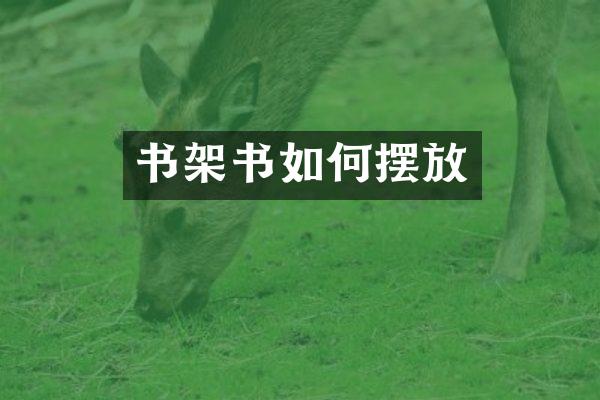 书架书如何摆放