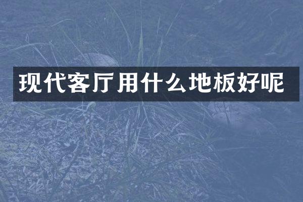 现代客厅用什么地板好呢