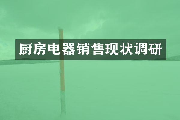 厨房电器销售现状调研