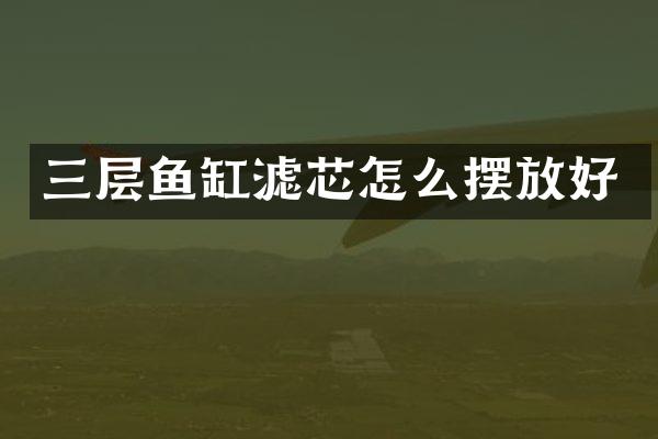 三层鱼缸滤芯怎么摆放好