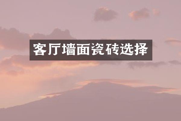 客厅墙面瓷砖选择