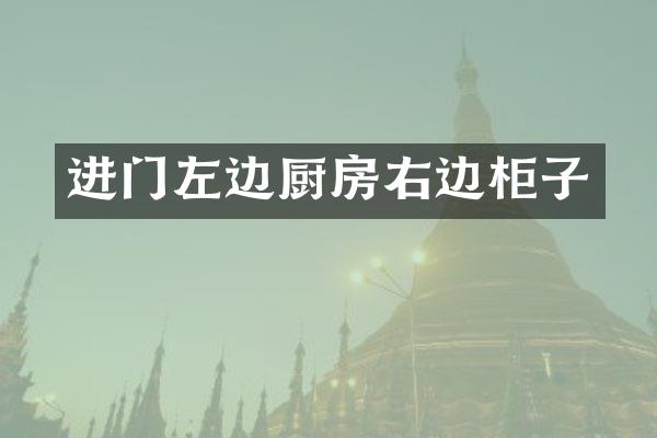 进门左边厨房右边柜子