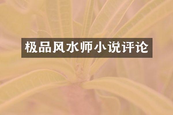 极品风水师小说评论