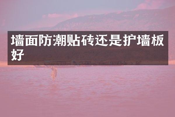 墙面防潮贴砖还是护墙板好