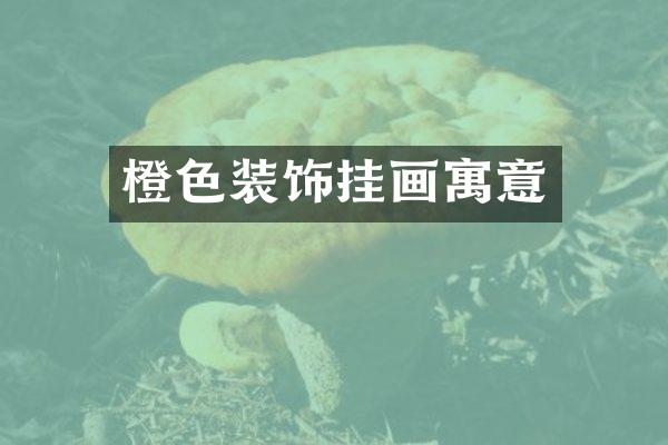 橙色装饰挂画寓意