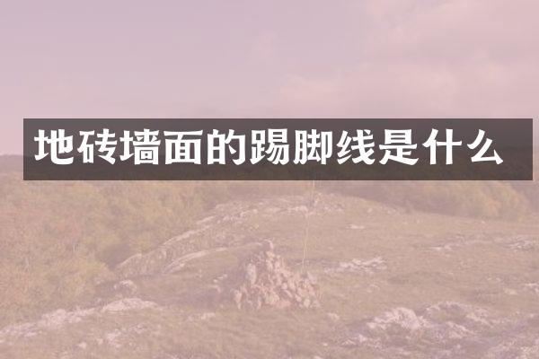 地砖墙面的踢脚线是什么