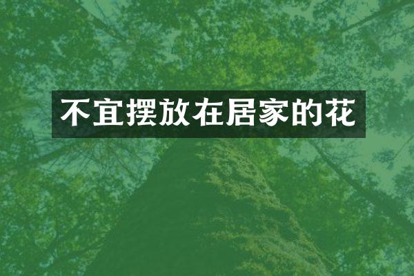 不宜摆放在居家的花