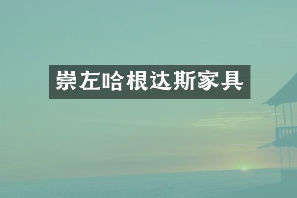 崇左哈根达斯家具