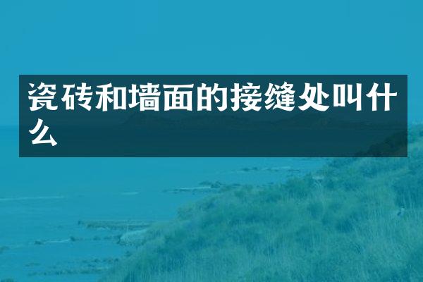 瓷砖和墙面的接缝处叫什么