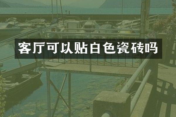 客厅可以贴白色瓷砖吗